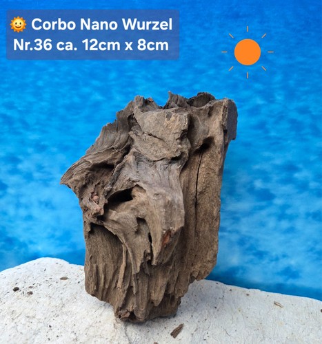 Corbo root nano - ‼️corbo,