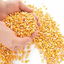 25 kg Futtermais Mais Hühner Tauben Geflügel Wild Futter Maiskörner Hasen Nager