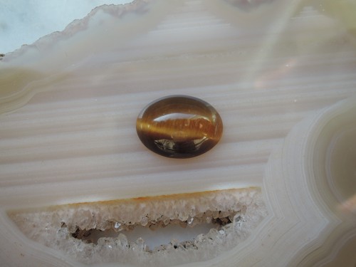Tigerauge oval cabocon - tigerauge,