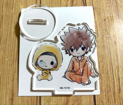 Katekyo hitman reborn acryl - katekyo,