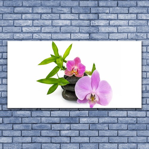 Acrylglasbilder wandbilder aus - acrylglasbilder,