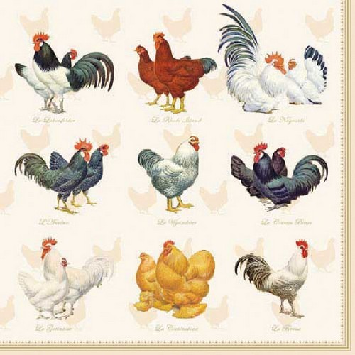 Servietten wyandotte cream - servietten,