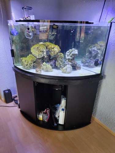 375l meerwasser aquarium inkl - 375l,