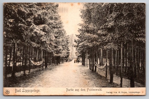 Bad lippspringe partie - lippspringe.,