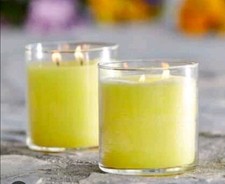 PartyLite GloLite Glas Wildes