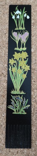 Blumen flowers - -,
