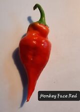 Samen Chili Paprika "Monkey Face Red"