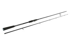 SPORTEX Spinnruten Black Arrow