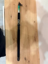 Zebco Practica Tele Rute 300cm 20-40g AUKTION