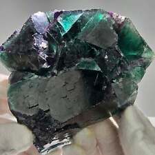 Große Phantom Fluorit Würfel Stufe grün lila Okorusu Namibia 93*89*37mm Sammlung