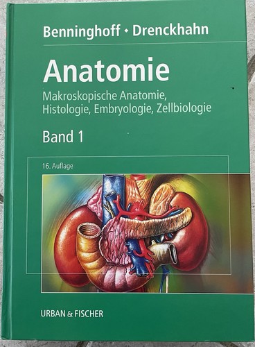 Anatomie band benninghoff - anatomie,