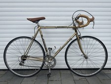 Gazelle Champion Mondial 59 cm