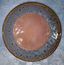 Natürlicher Kombucha –
