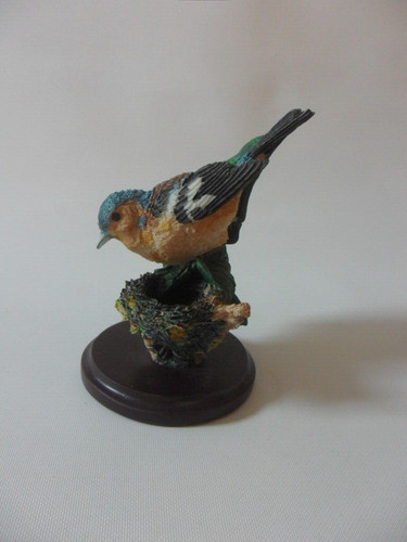 Unsere schöne vogelwelt - unsere,