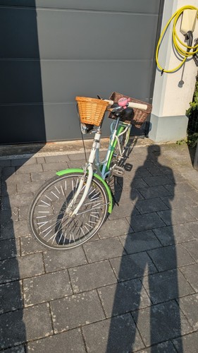 Gazelle madelief - madelief,