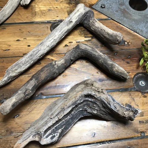 Treibholz schwemmholz holz ast - treibholz,