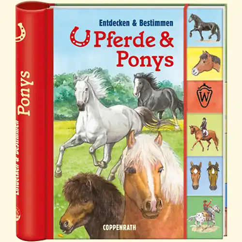 Pferde ponys - &,