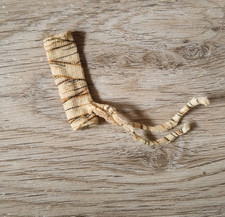 Monster High Cleo de Nile