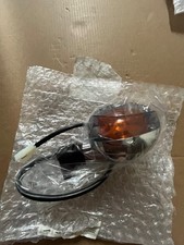 GU06750600 Blinker ANT DX/POST