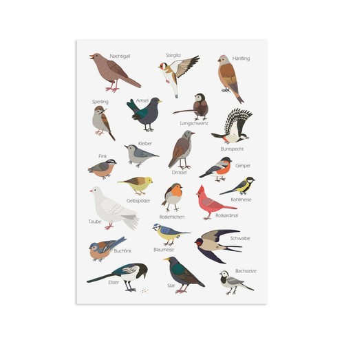 Postkarte gartenvögel - postkarte,