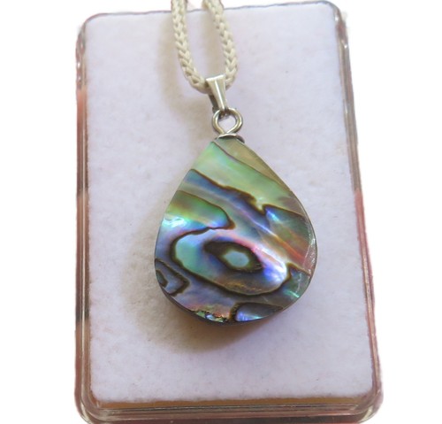 Paua muschel abalone anhänger - muschel,