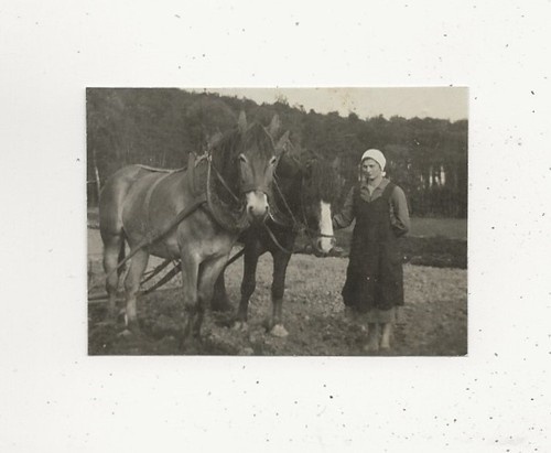 719 foto landwirtschaft - 29/719,