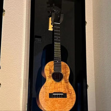 Ukulele display case violin - ukulele,