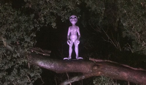 Alien figur lebensgroß - alien,