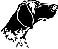 DEUTSCH KURZHAAR Aufkleber -