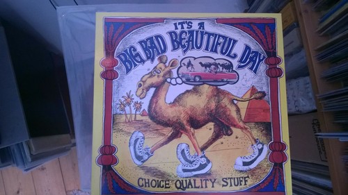 Beautiful day - it's, a