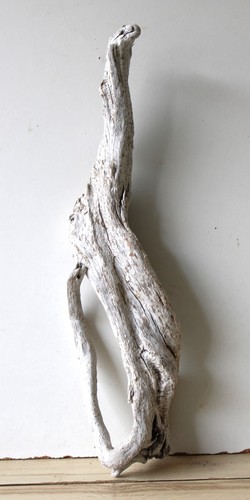 Treibholz schwemmholz - treibholz,