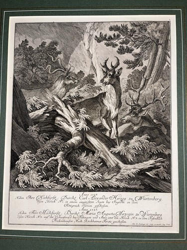 Johann elias ridinger - johann,