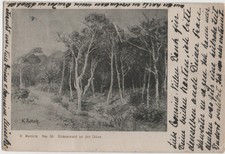 GRAAL MÜRITZ Künstlerkarte K