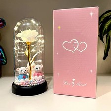 Eternal Rose in Glass LED