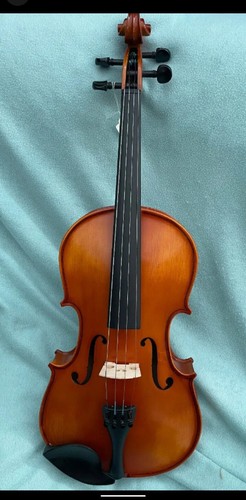 Hidersine vivente viola - vivente, 15,5"