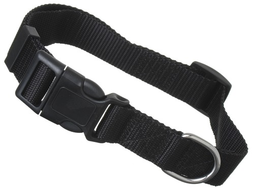 Scarlet pet hundehalsband - scarlet,