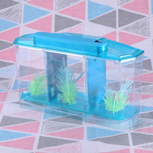 Kleine aquarium aufzuchtkasten - aquarium,