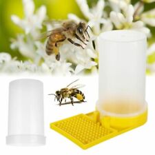 1/2x Bienenfütterung Füttern