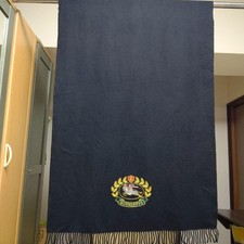 BURBERRY Stola Schalldämpfer