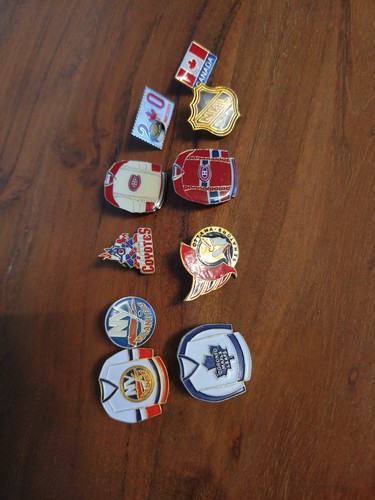 Vintage eishockey pins - vintage,