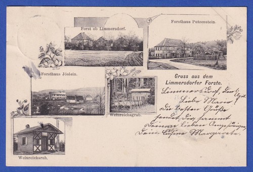 Alte limmersdorfer forst - limmersdorfer,