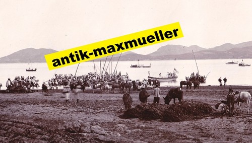 Orig photo großformat 1904 - großformat,