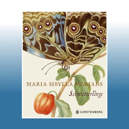 Maria sibylla merians - maria,