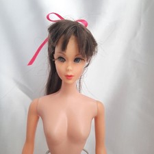 Barbie Tnt, Mattel 60er Jahre