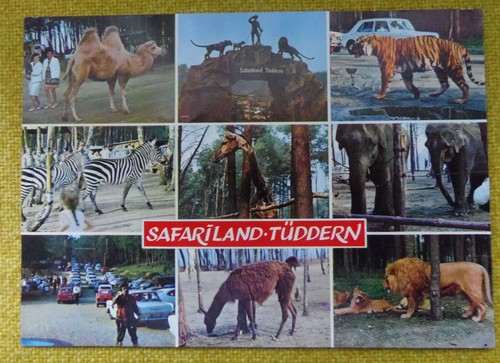 Ansichtskarte safariland - ansichtskarte,