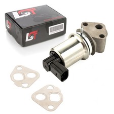 AGR Ventil Abgasrückführung