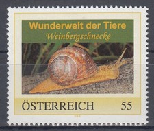 PM 8016117 Weinbergschnecke