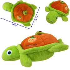 Glücksbringer Schildkröte