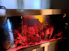 Juwel rio aquarium 350 - aquarium, l