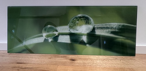 Glasbild grashalm mit - grashalm,